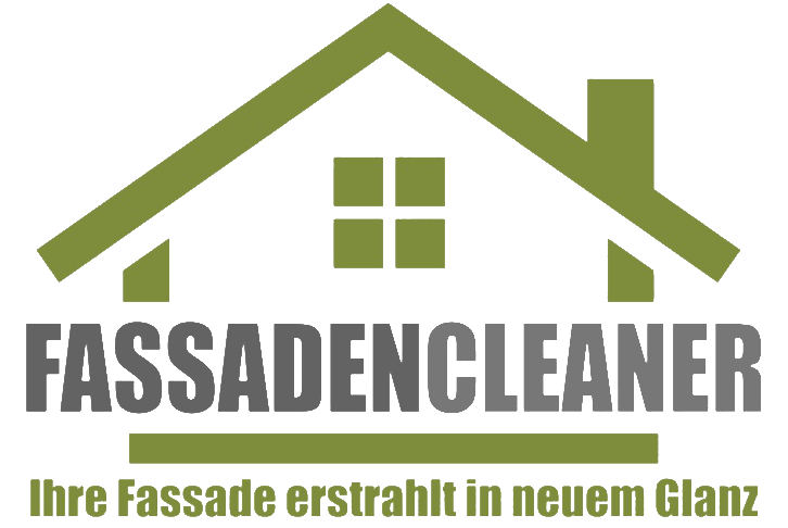Fassaden Cleaner